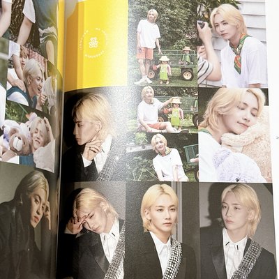 【Seventeen 】Dicon 團封