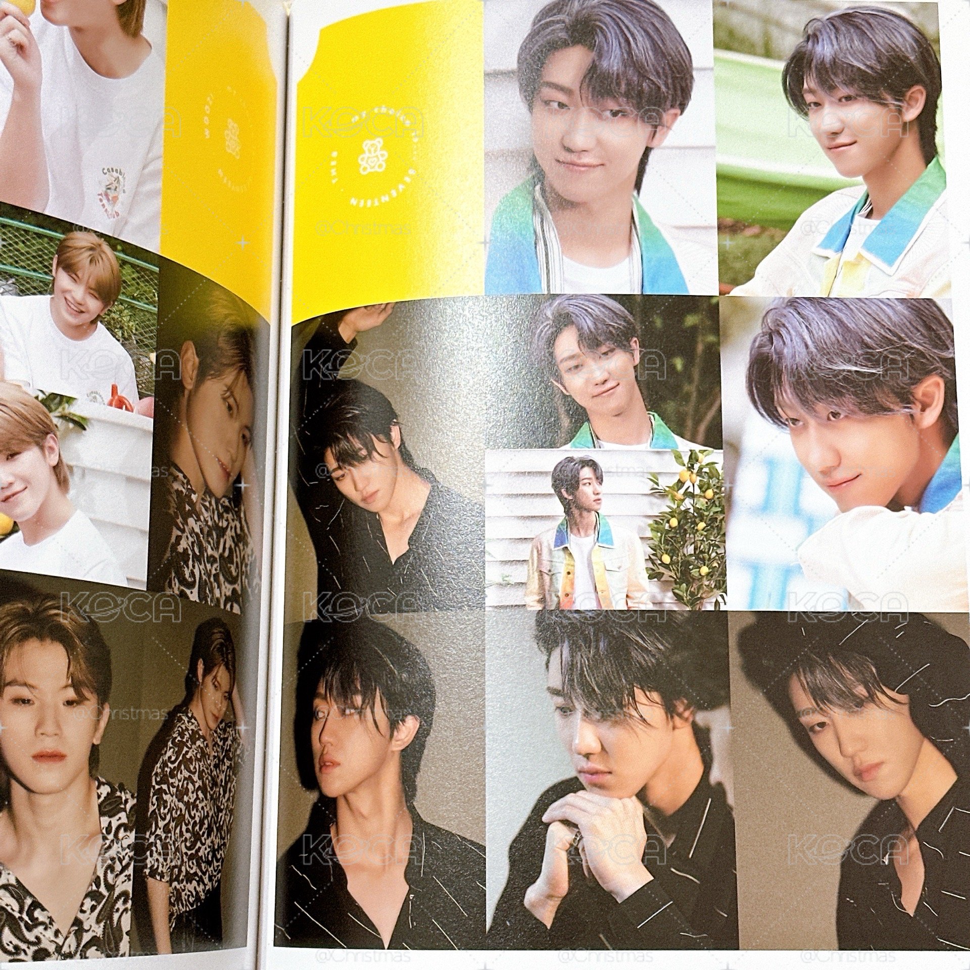 【Seventeen 】Dicon 團封