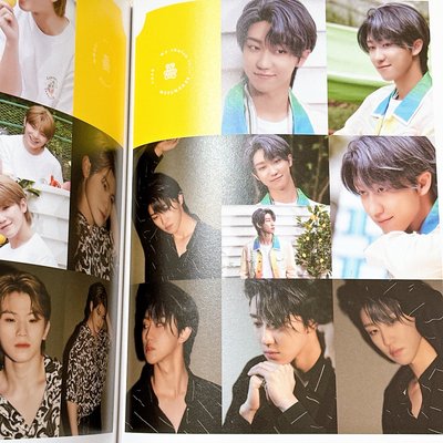 【Seventeen 】Dicon 團封