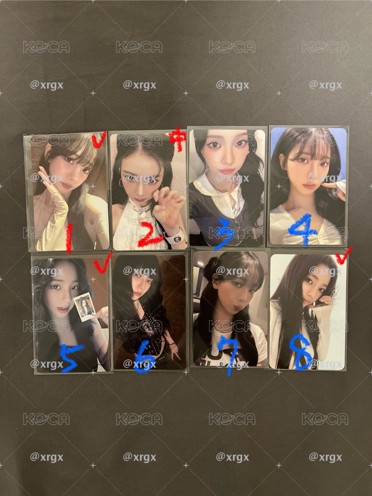 柚子 Karina 盤
