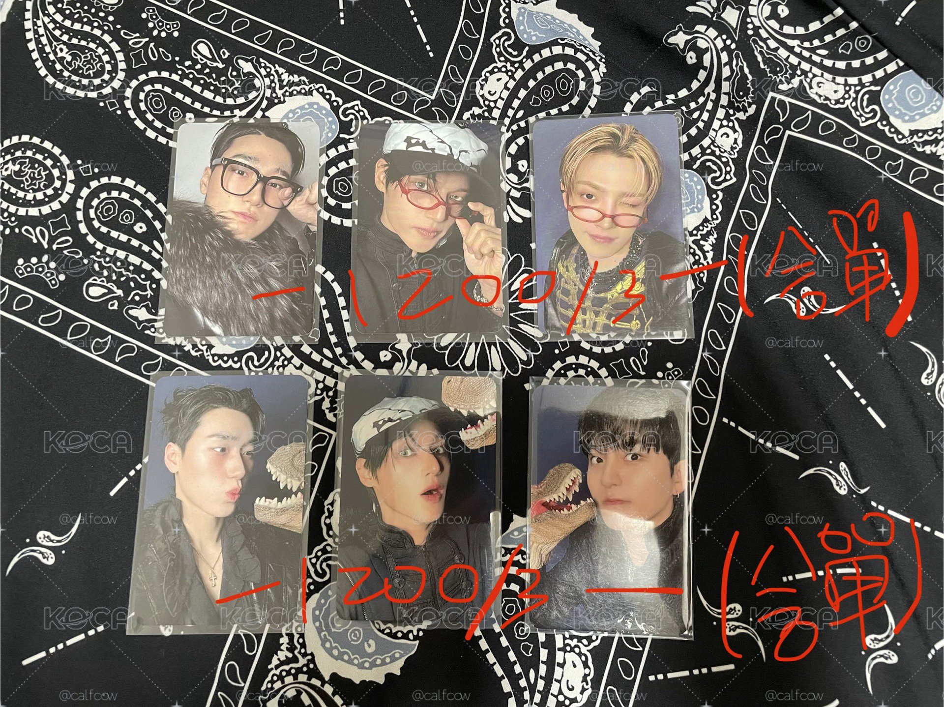 紅黑眼鏡、恐龍咬一口