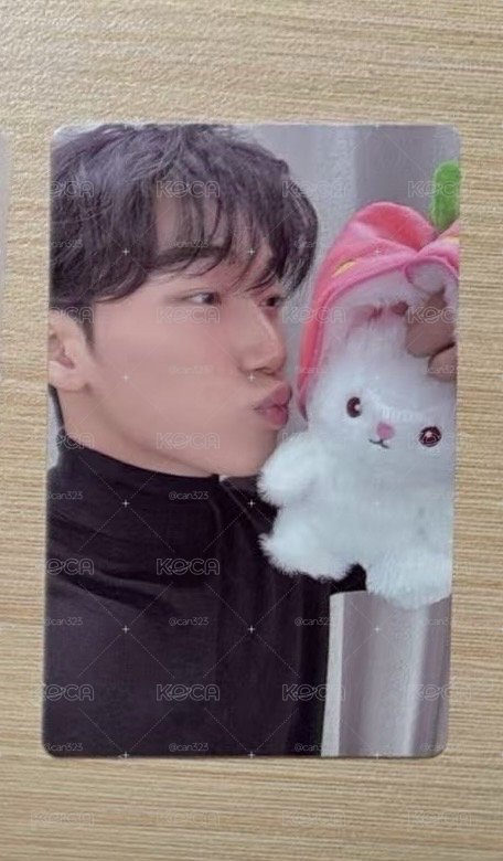 兔兔傘