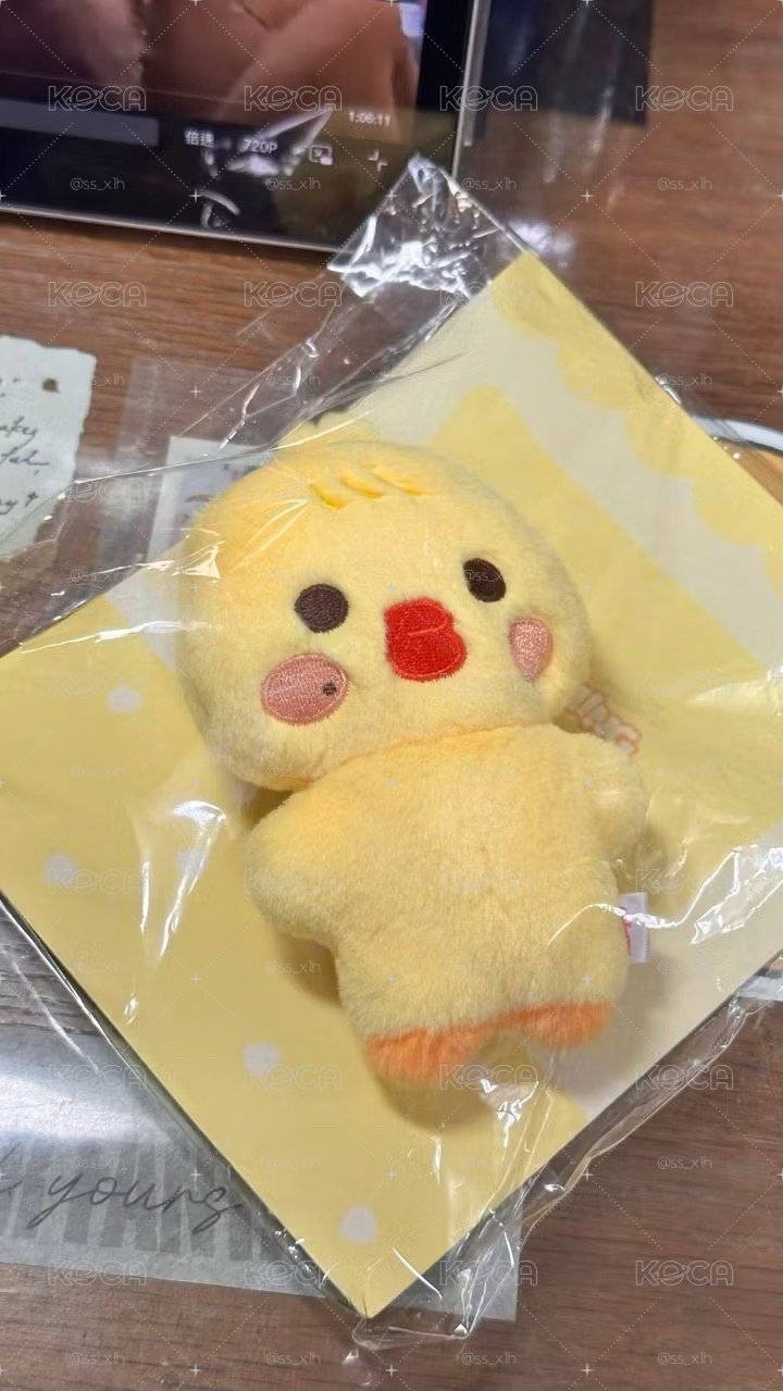 豆豆眼蹦旼