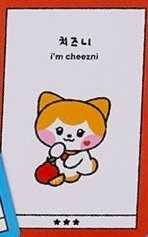 IVE X LINE FRIENDS 周邊卡 