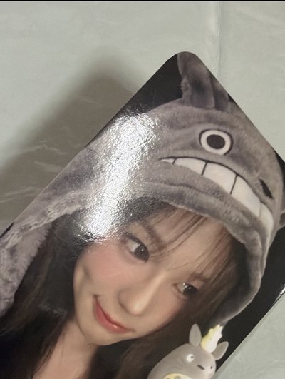 龍貓愛