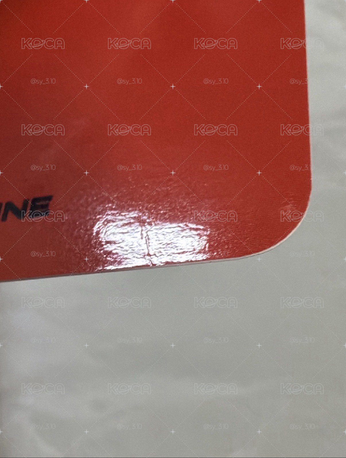龍貓愛