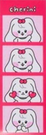 LINE FRIENDS快閃 人生四格卡 / 拍貼 