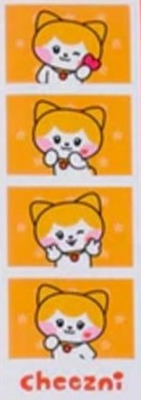 LINE FRIENDS快閃 人生四格卡 / 拍貼 