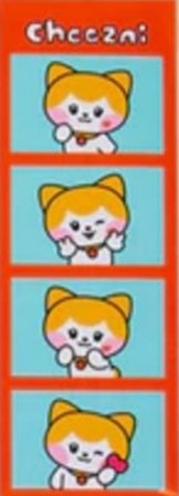 LINE FRIENDS快閃 人生四格卡 / 拍貼 
