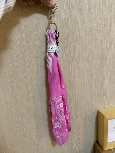 現貨 三巡 sm jp 方巾 （Karina/Winter)