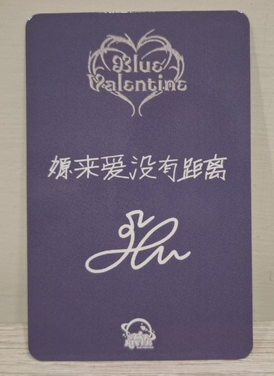 ✴️中背 吸血鬼貓