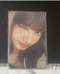 娃專栗