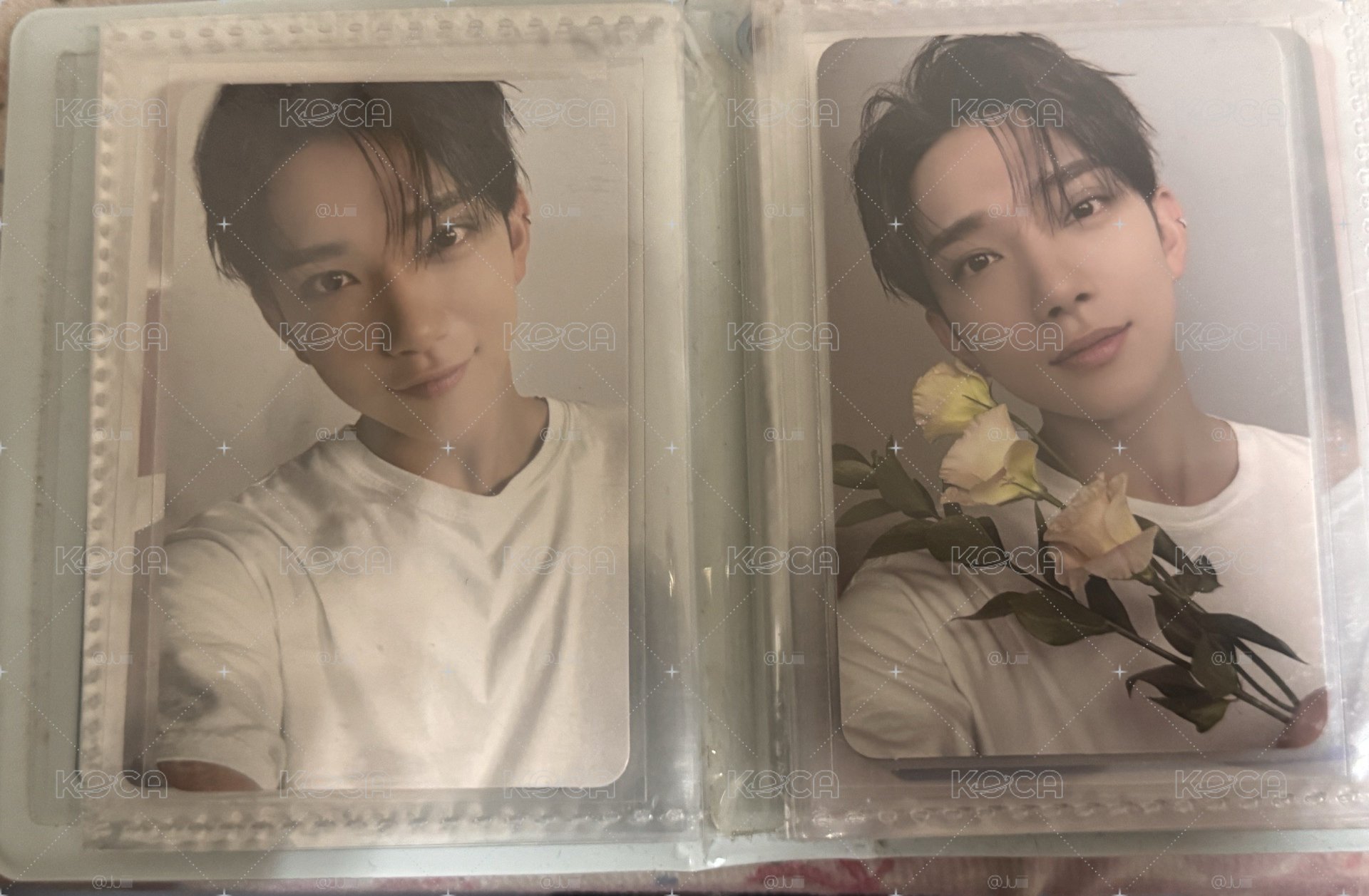 精選專 carat ver.