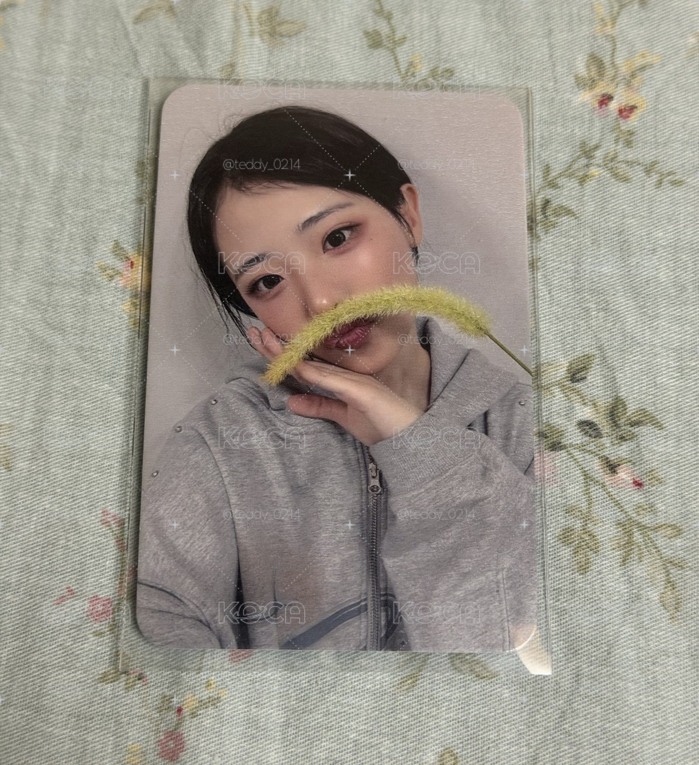 狗尾草娜