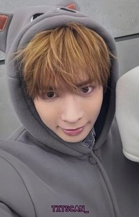 迷八 電子專 專輯卡 