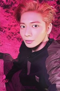 迷八 卡盒專 專輯卡 