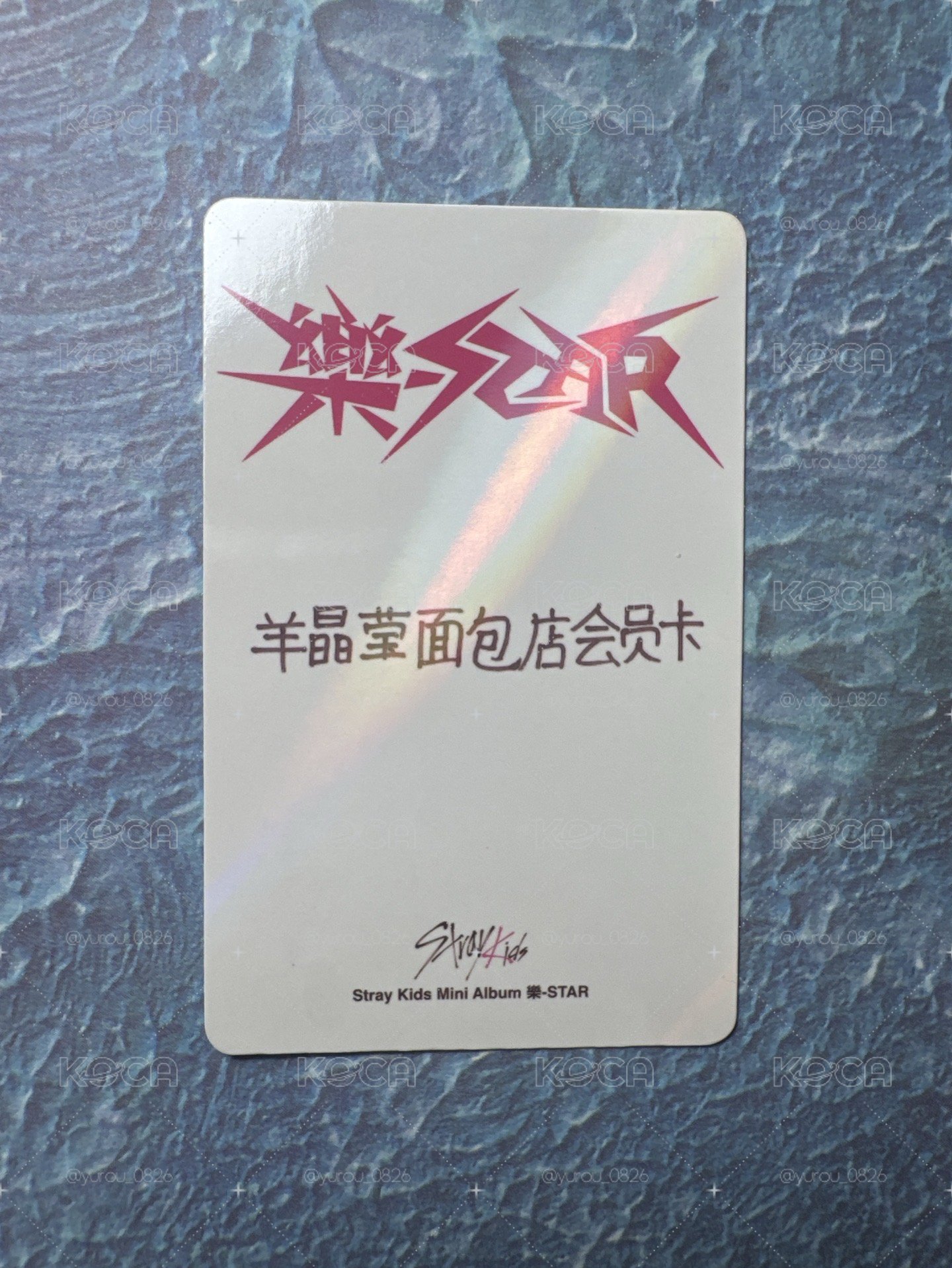 寅中字卡背