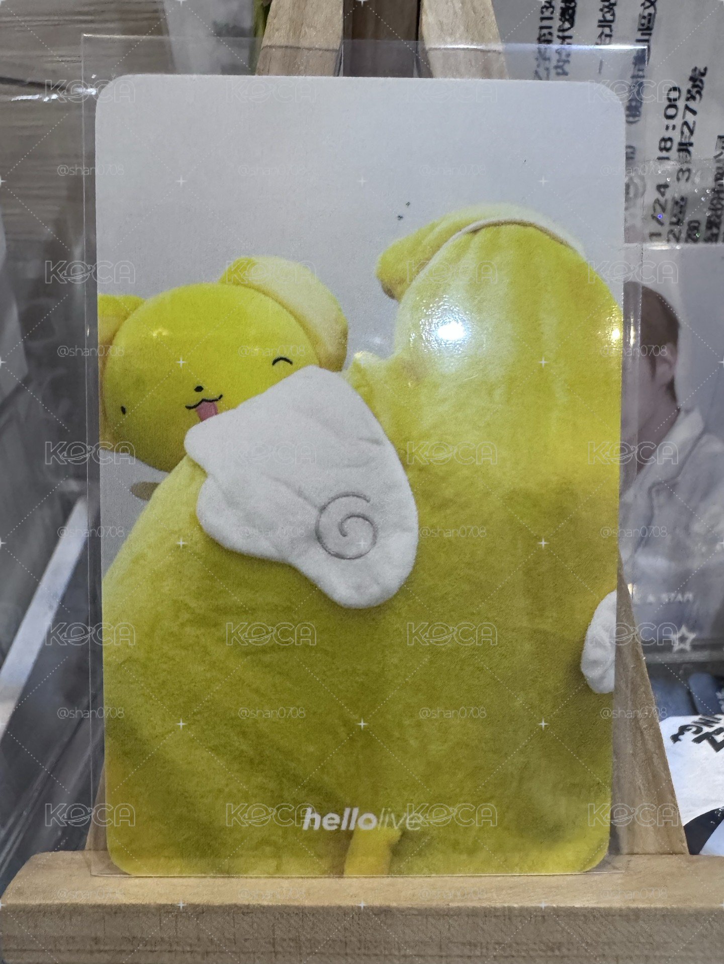 小可傘尼