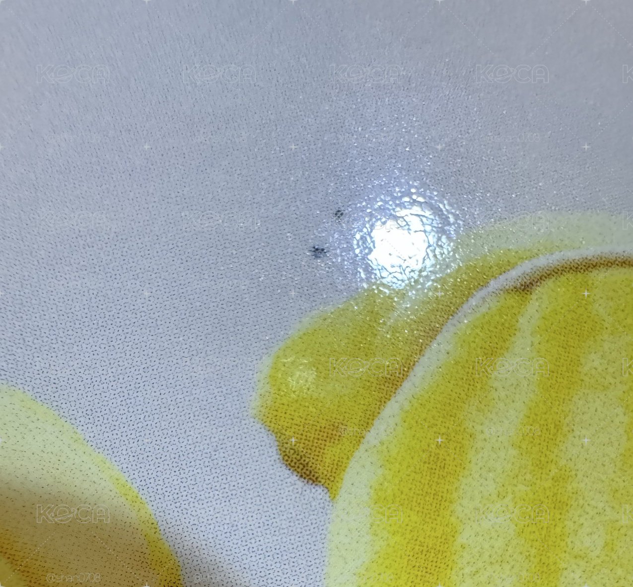 小可傘尼