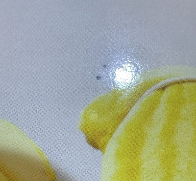 小可傘尼