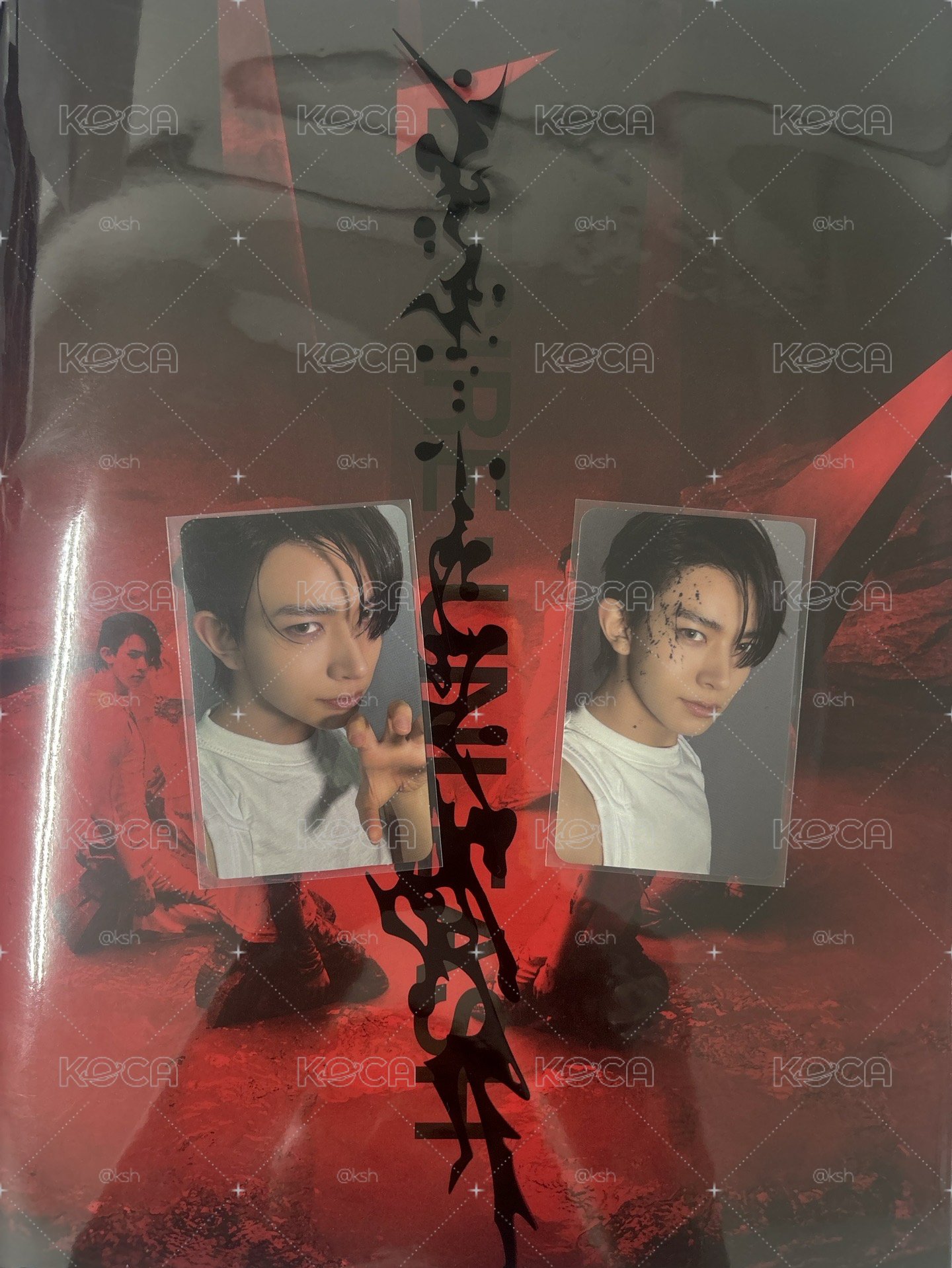 enhypen 迷六 紅版羲全專