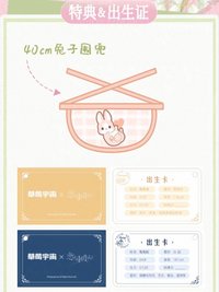 草莓宇宙 40cm大娃 特典&出生證