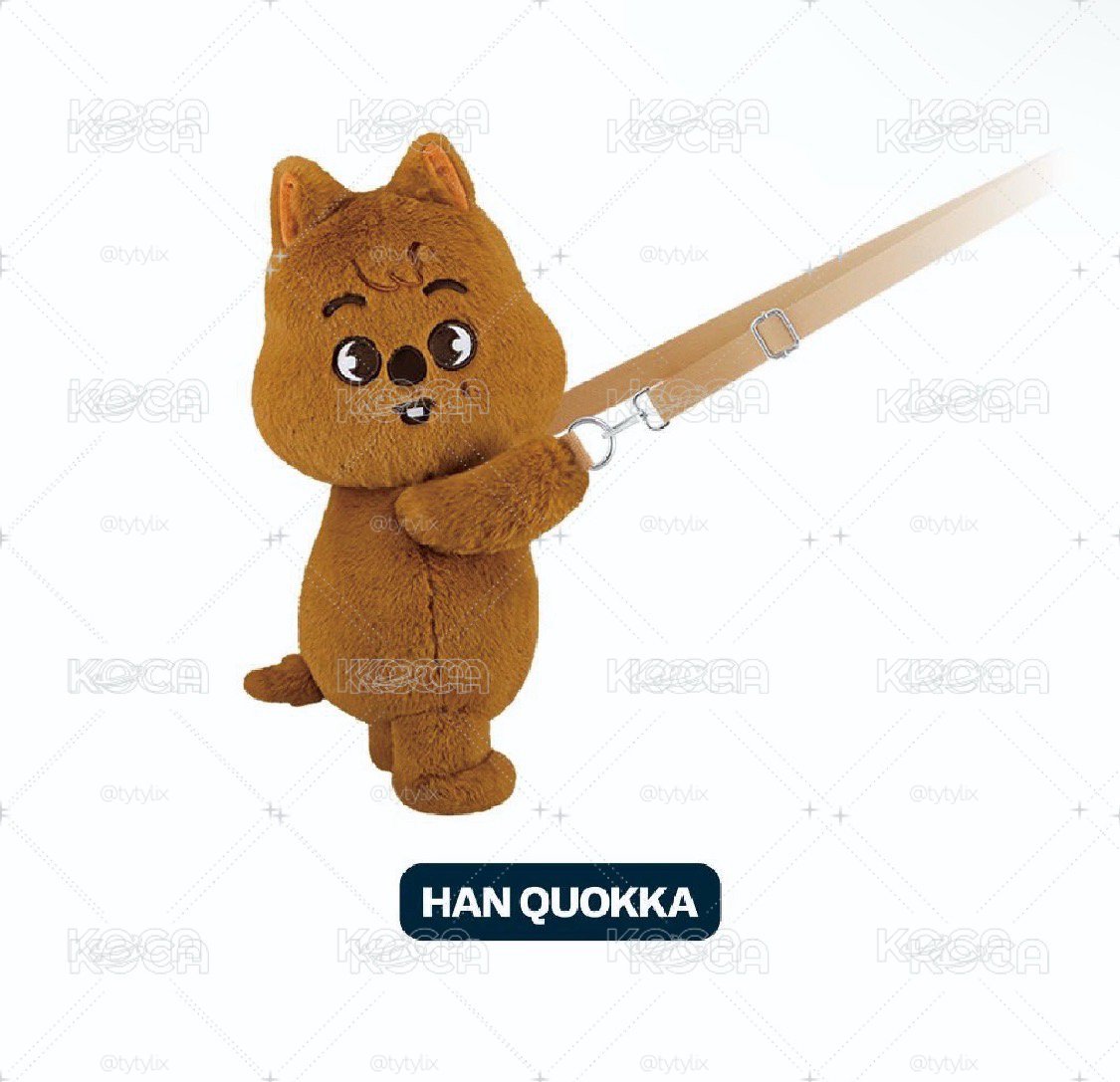 韓知城 HAN 3rd 世巡安可快閃店 大娃 側背娃