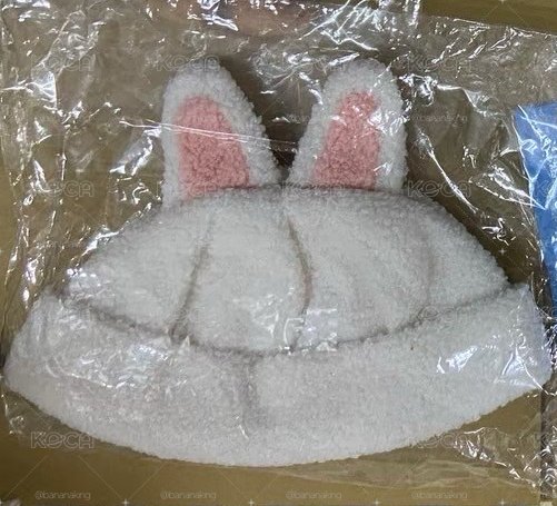 現貨 全新未拆李畢毛帽