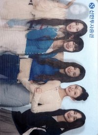 新韓銀行 變化卡 代言卡 