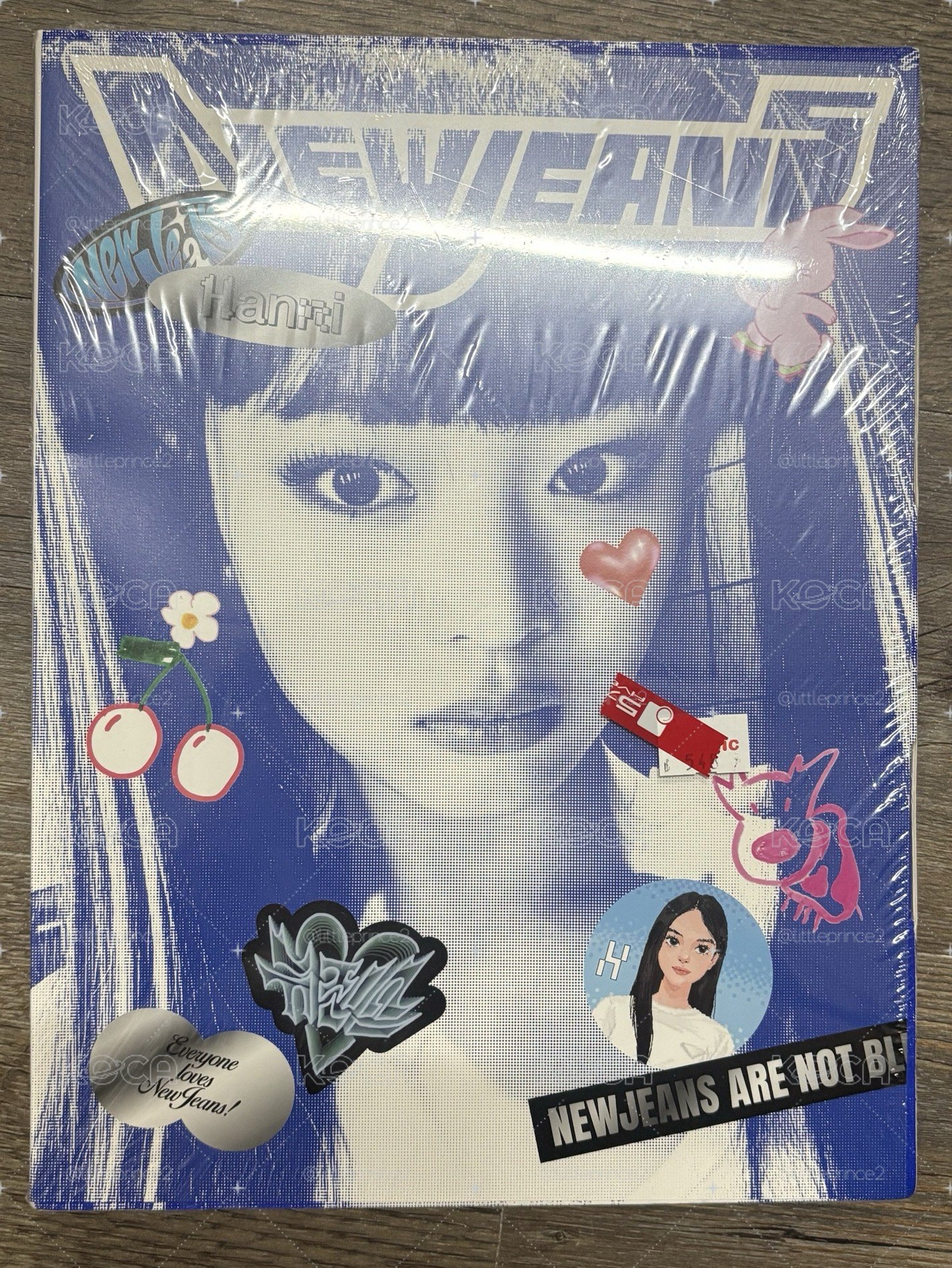藍書 全新未拆何況佳的哈尼寶