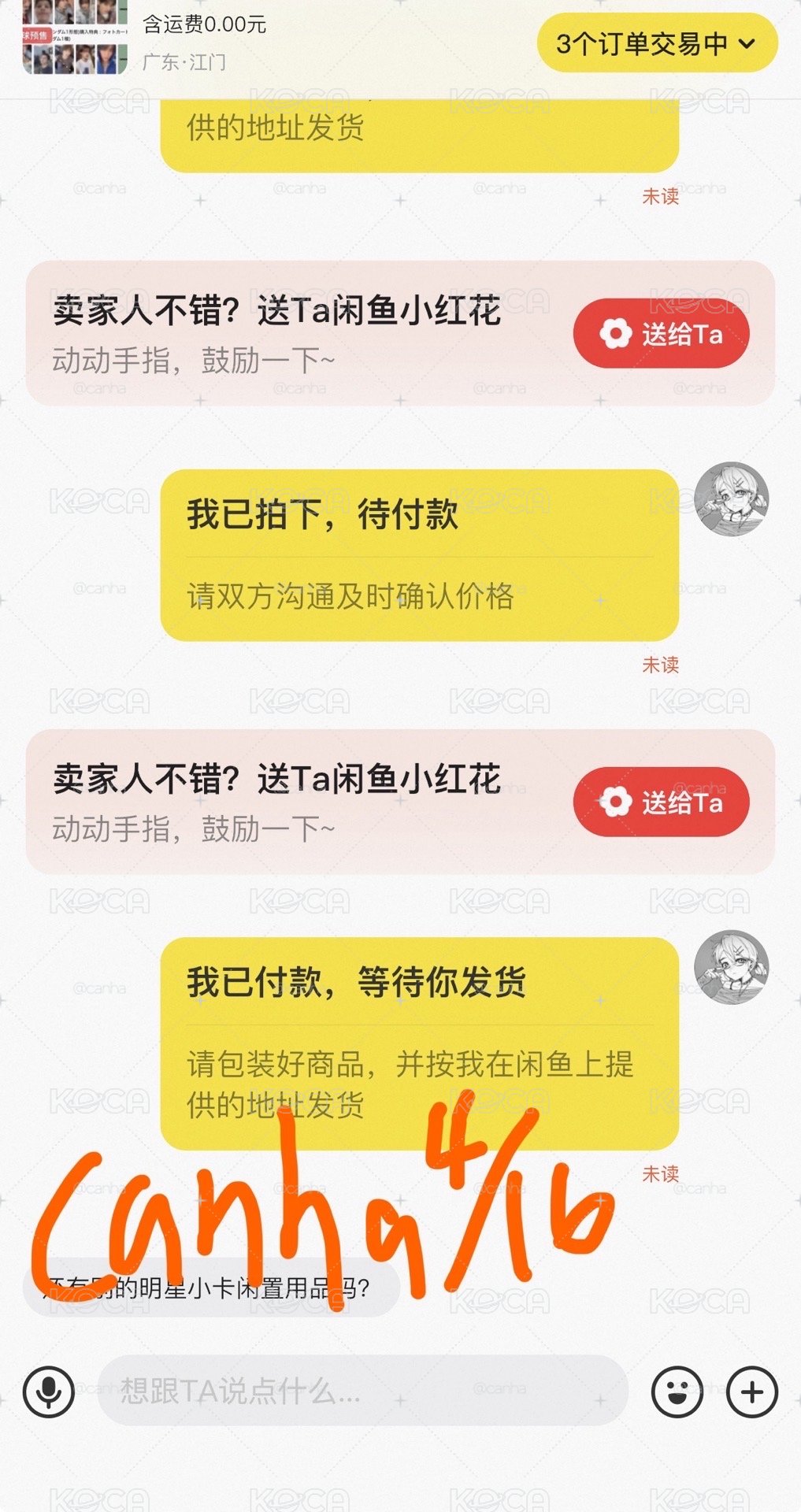 cortis 非現/代購 日咖/環球