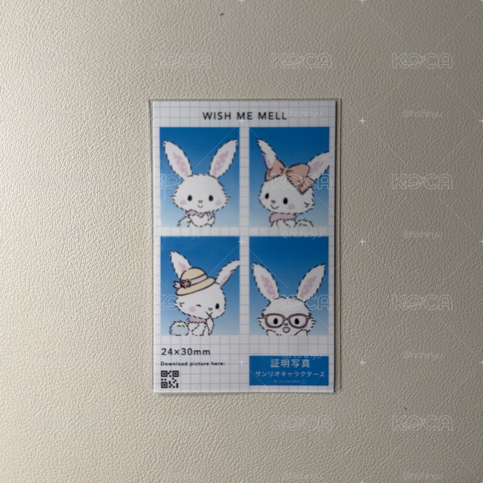 許願兔四格證件照