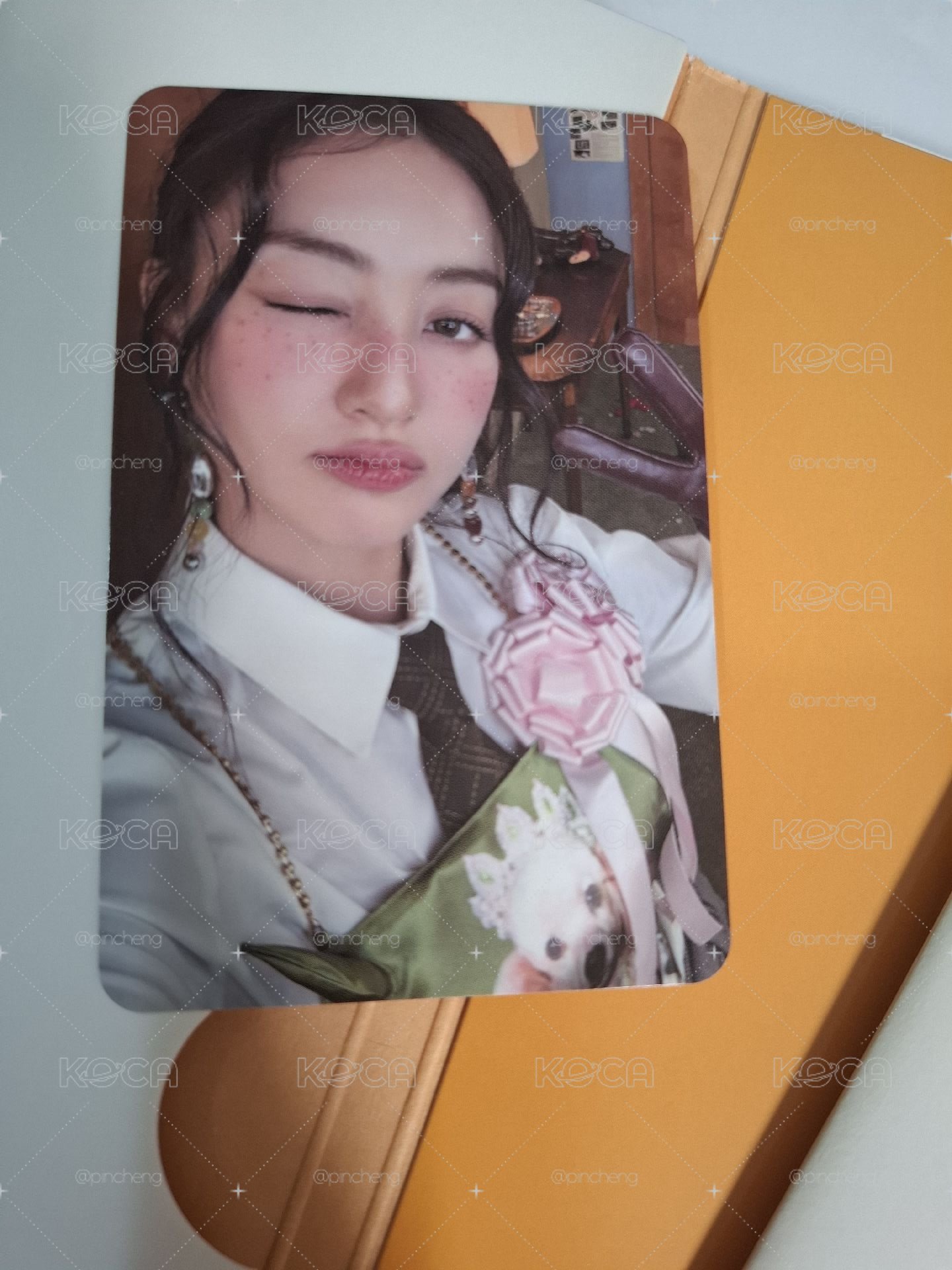 志效小卡