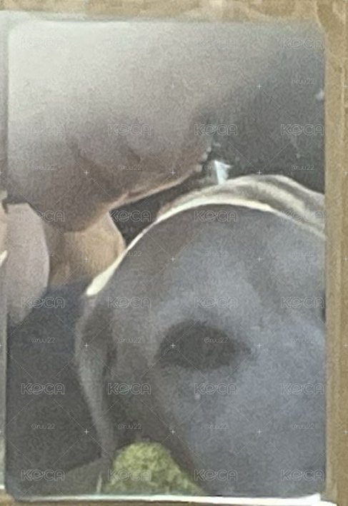 背著善宰跑 滿額卡