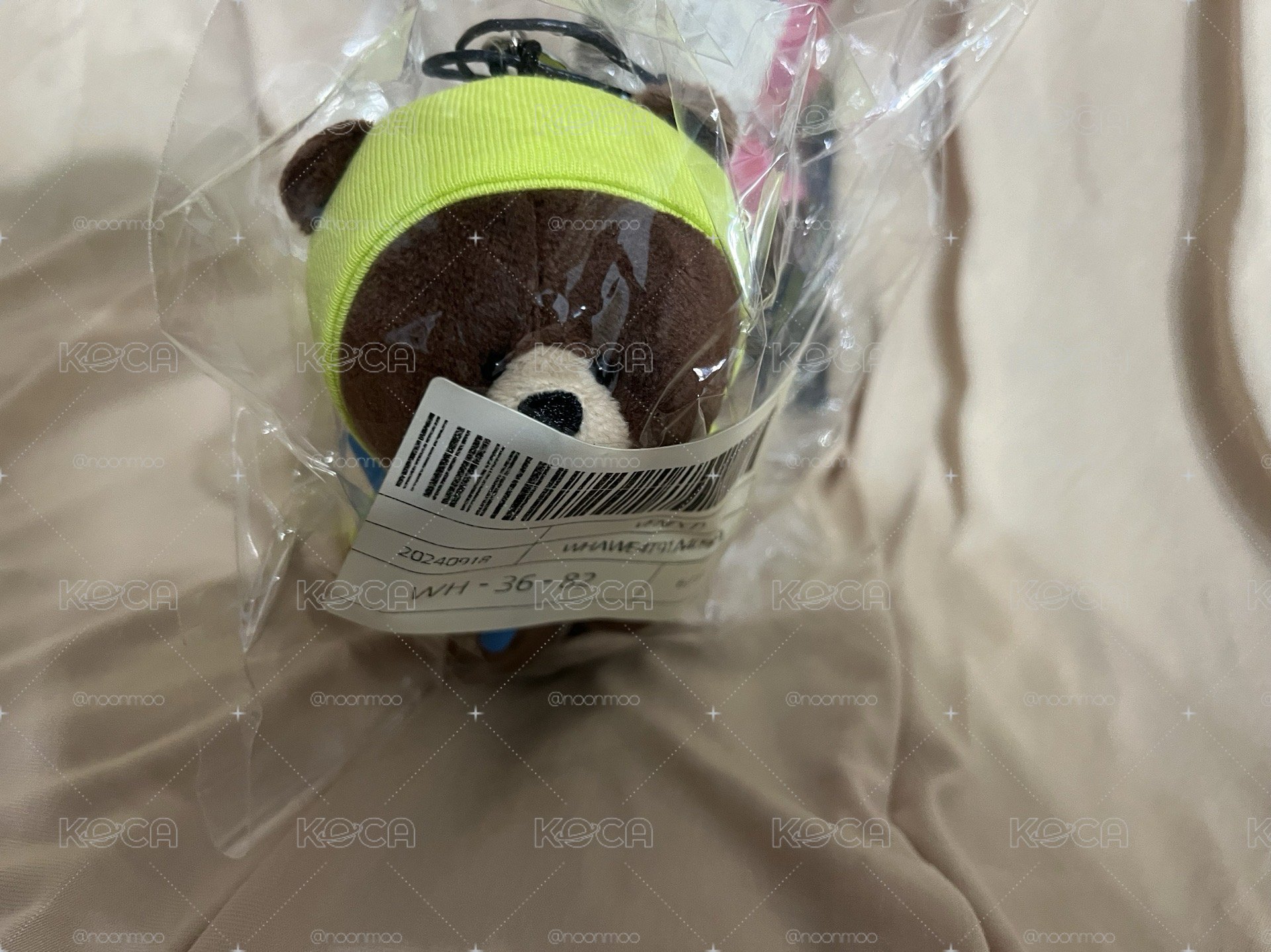 燕熊全新