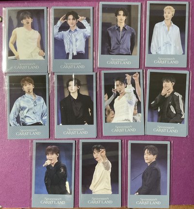 24’Caratland DVD 少漢八