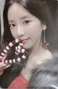 7巡 立牌 周邊卡 
