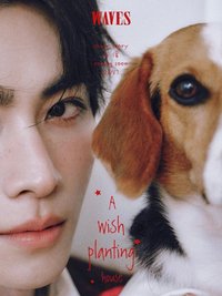 肖俊 × WAVES漫潮