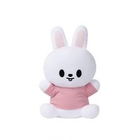 SKZOO 全球快閃店 娃娃玩偶 