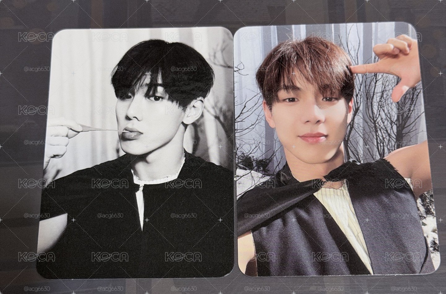 MONSTA X SHOWNU 星船特典卡