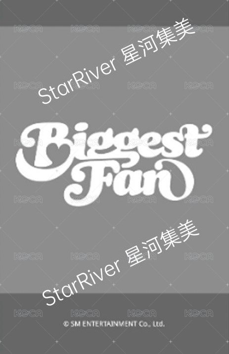 正規一 sr 幸運卡 拍立得 背面