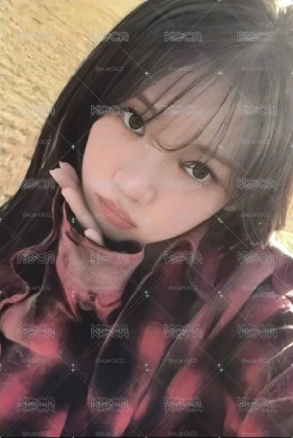 降價！！滿額茶