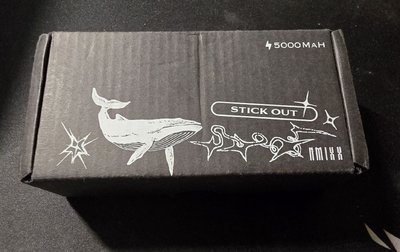 NMIXX Stick Out 行動電源