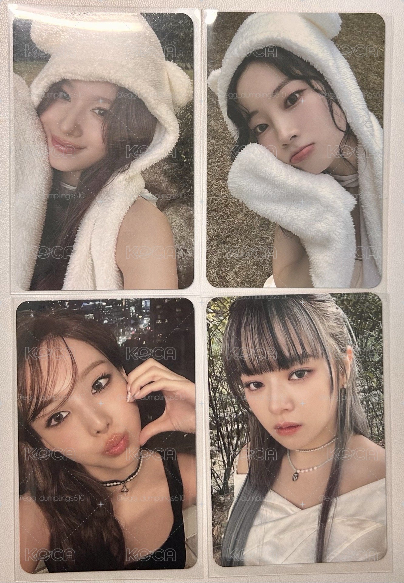 迷十三小卡 熊帽紗 熊帽多