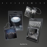 Reverxe 電子專 Big SMini ver.
