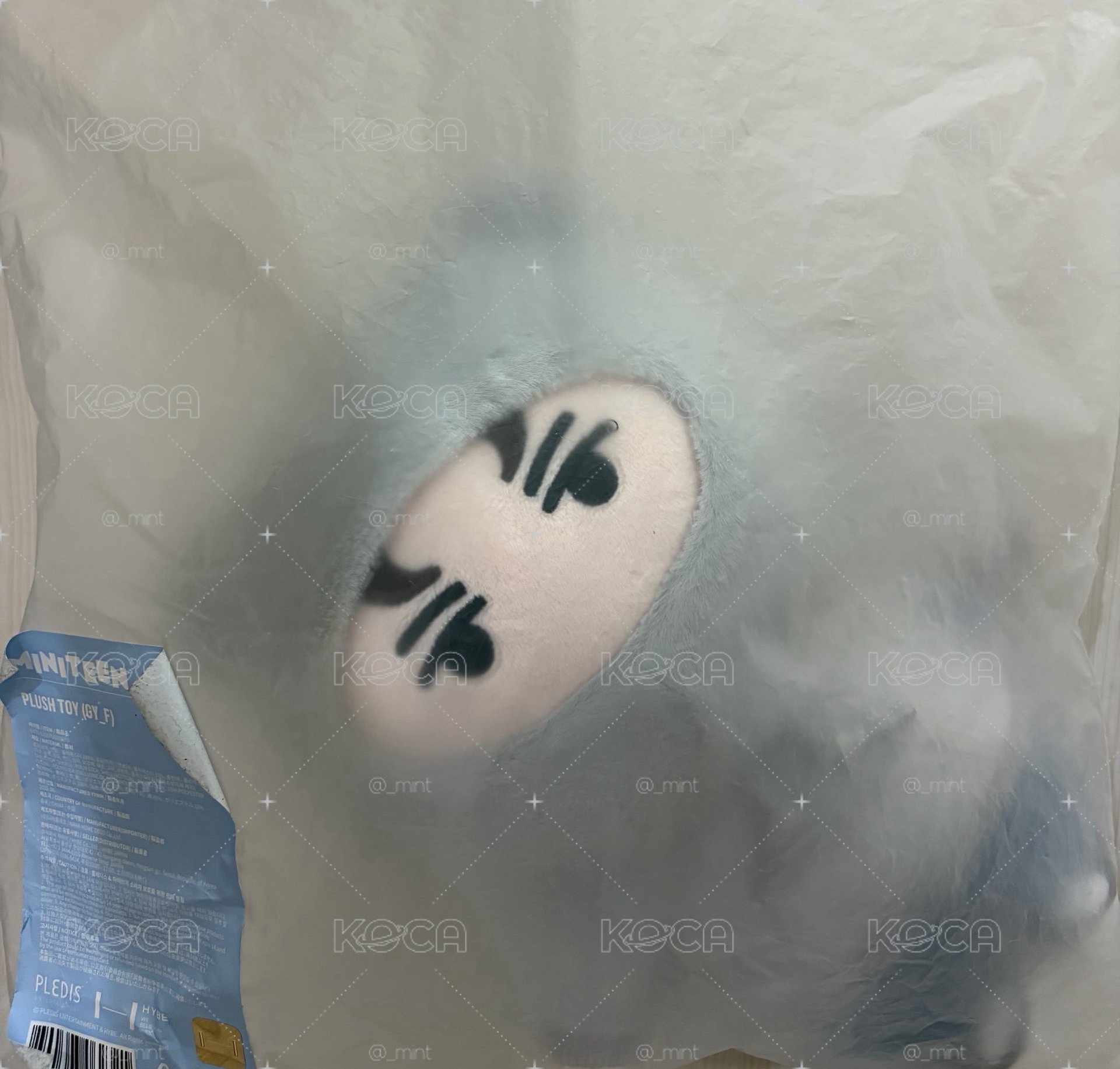 MINITEEN 率站姿娃