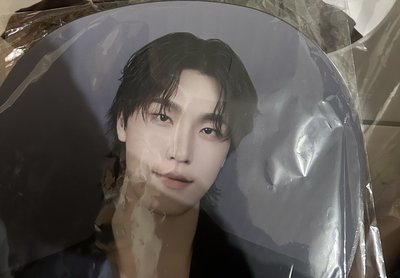 seventeen new奎日巡大扇