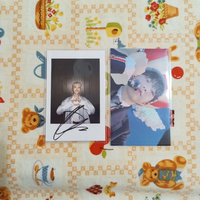 Seventeen 17 Hoshi權順榮 DK李碩珉 yzy 一直娛復刻拍立得 小盤出 耳機榮 虎爪榮 比心榮