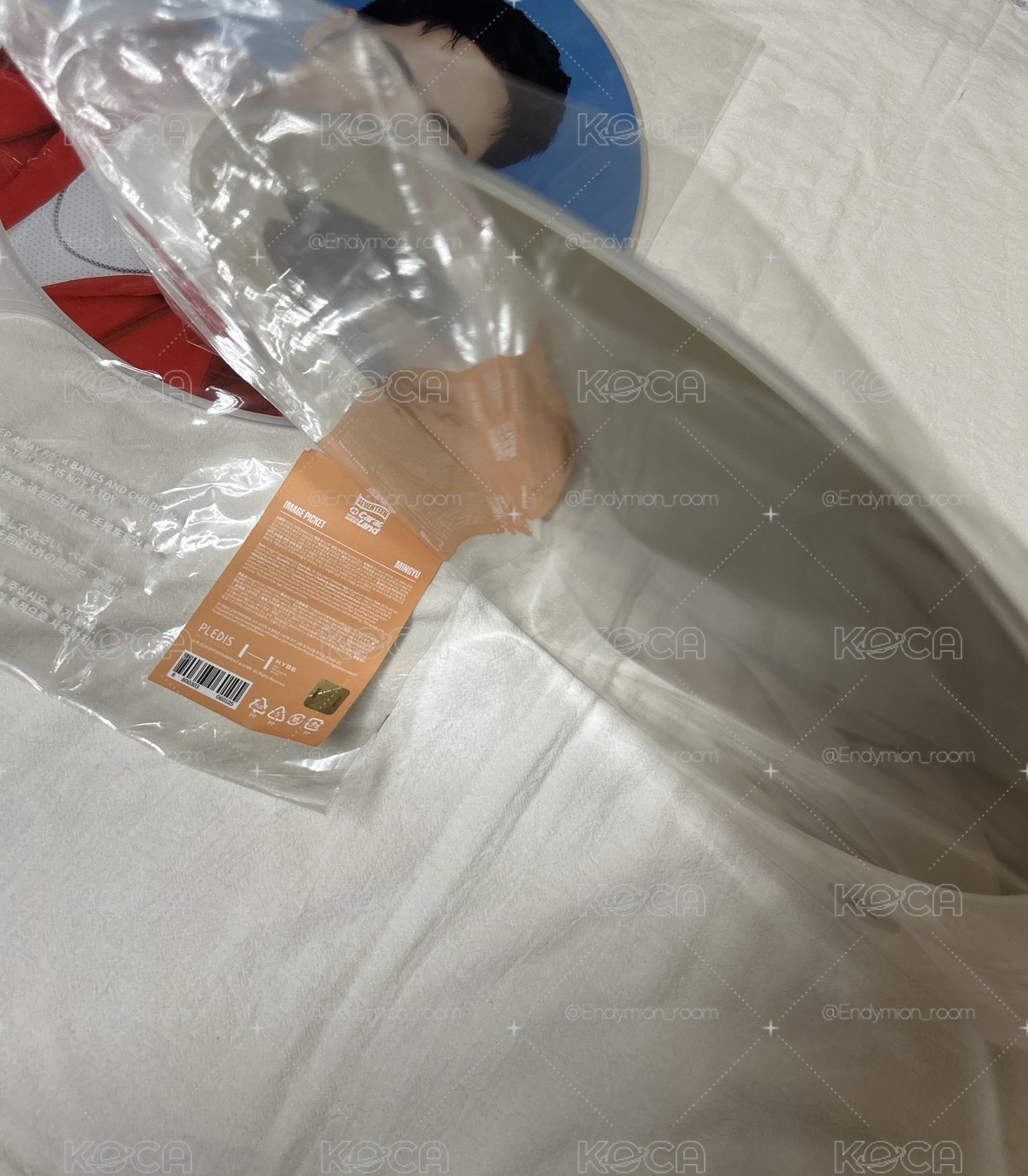 奎球衣 盤出
