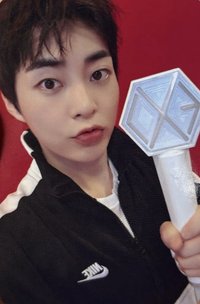 愛麗棒三代 周邊卡 手燈卡